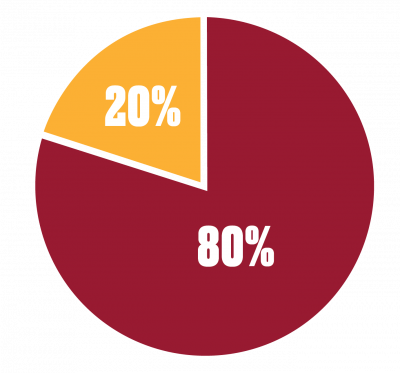 pie chart