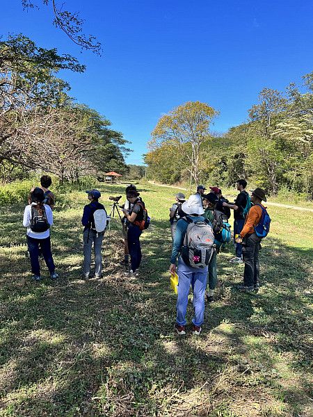 Gallery 2: Intense birdwatching taking place
