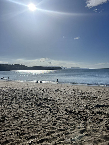 Gallery 3: Mangroves on the Bach in Las Cruces County