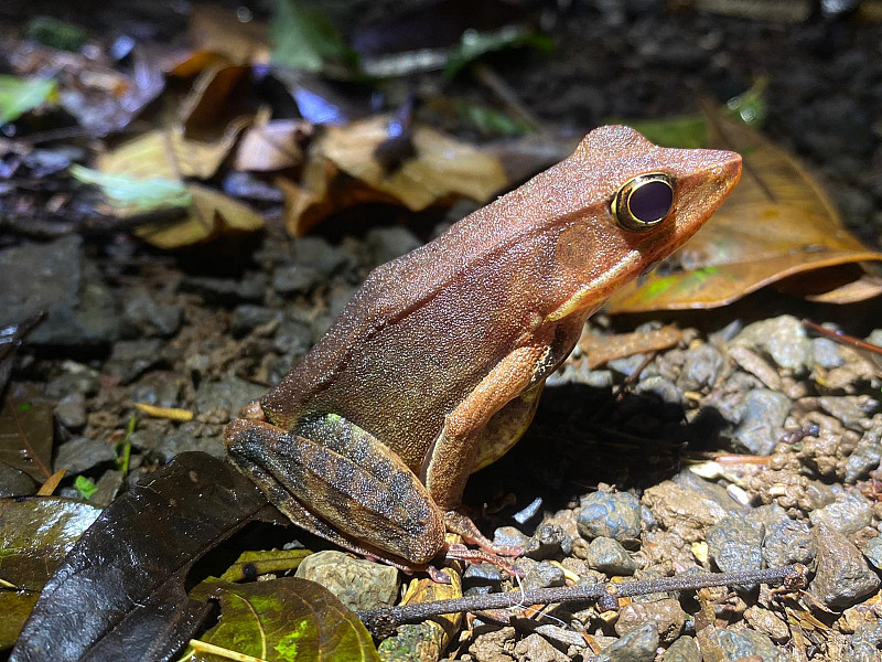Gallery 6: Night hike sights