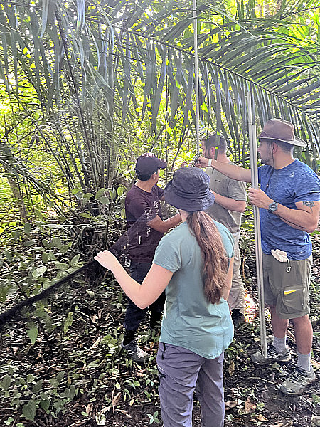 Gallery 7: Setting-up-bat-nets