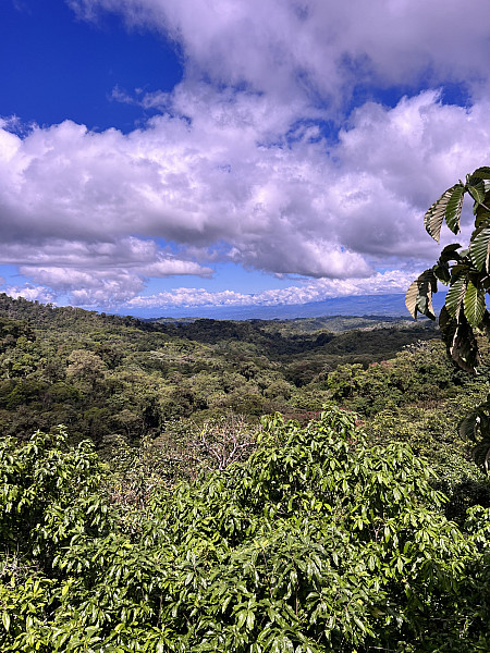 Gallery 10:Viewing-tower-sights