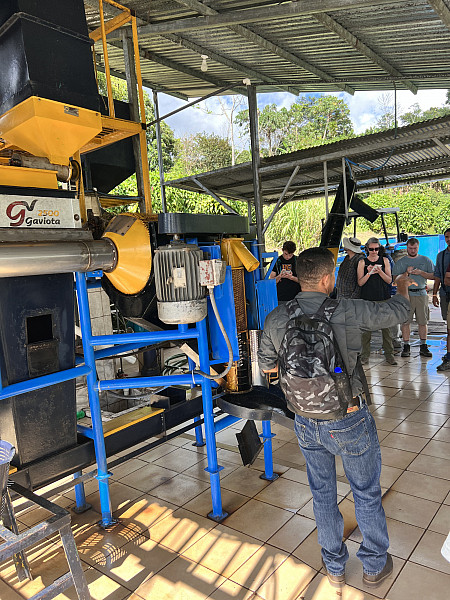 Gallery 12: Touring-coffee-plantation