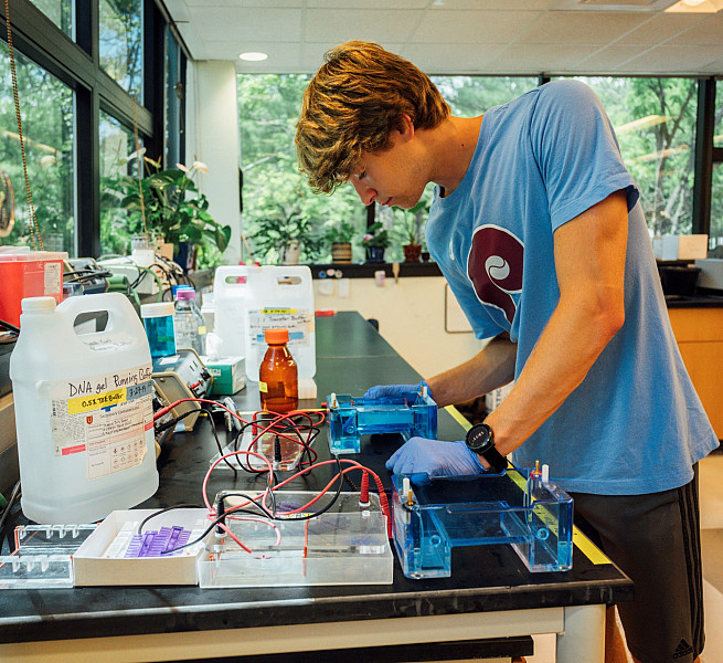 Ryan Martin '26, spent the summer in the Cameron Lab. Ryan is using yeast as a model to study how cells ensure that proteins fold up to a...