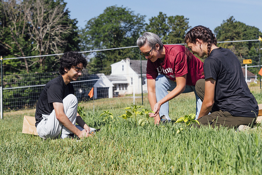 Professor Denise Finney works with students on field-based research opportunities, including projects examining the effects of crop diver...