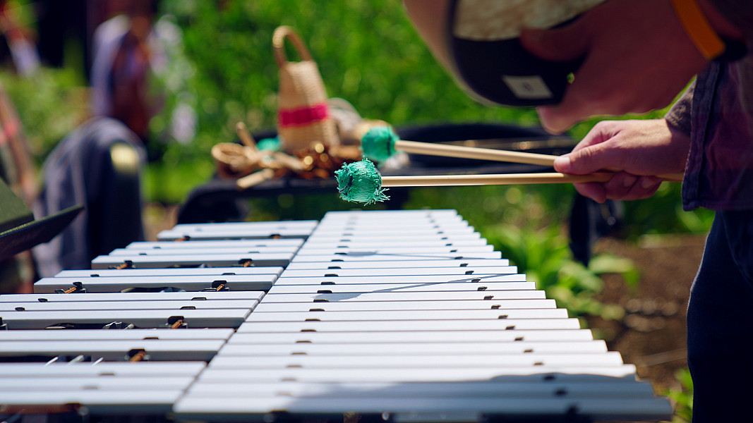 Apex Day 2026 xylophone