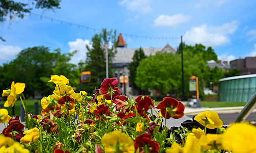 flowers in front of commons