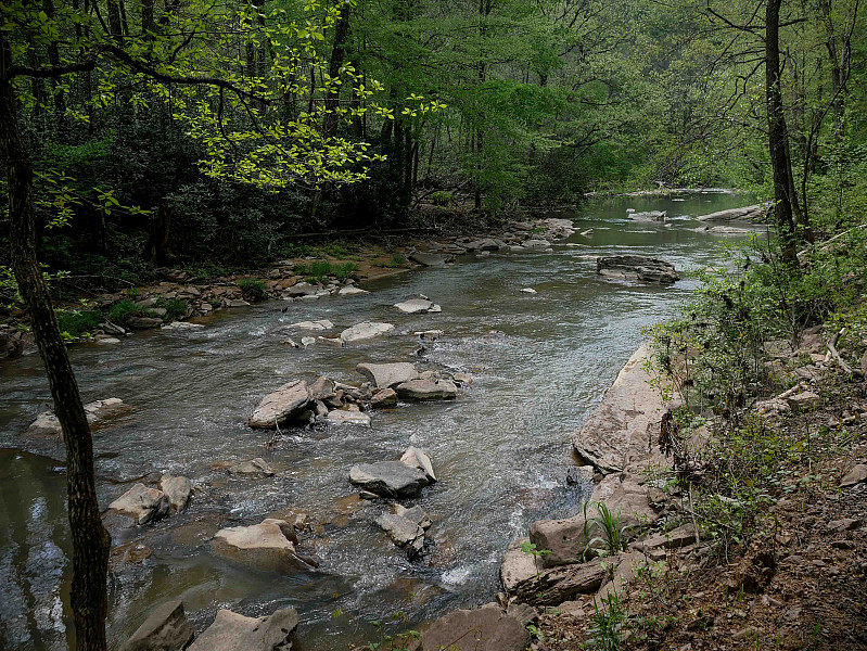 hatfield mccoy trail