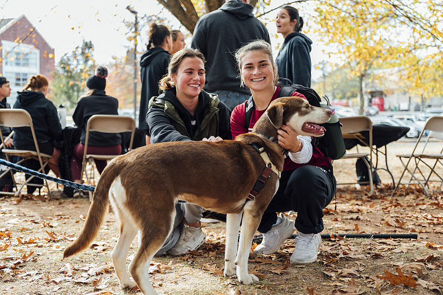 Alumni returned with dogs in tow for fall festivities! Homecoming and Family Weekend is a great way to experience Ursinus tradition and s...