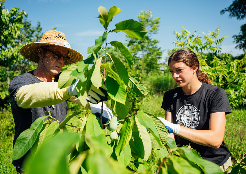 food forest summer fellows research 2025
