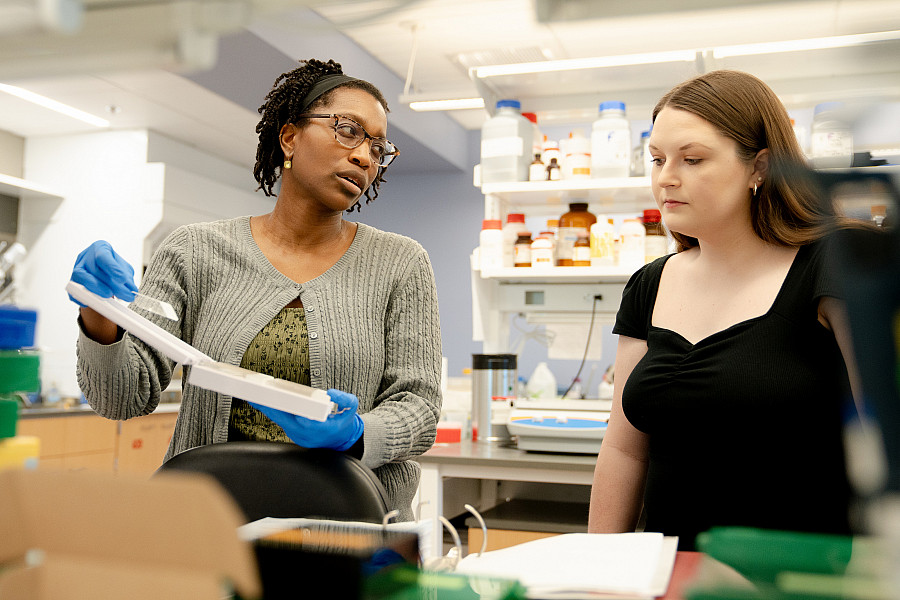 Spring 2024 Candid Shoot of Cartlia Favero Neuroscience Lab working with a student