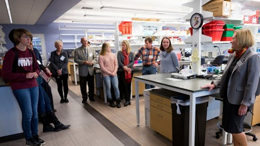 IDC Lab with Dr. Bailey