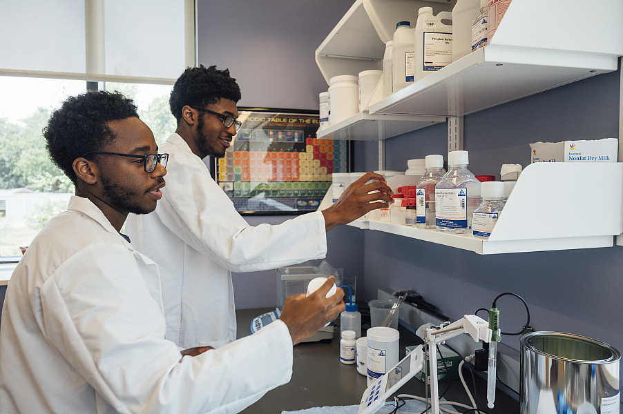 Mentors and mentees perform research as part of the 2024 FUTURE program. - June 25, 2024